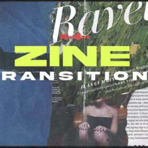 MoonBear - Zine Transitions