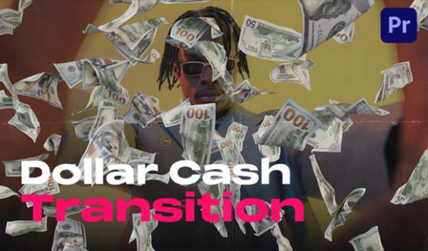 Videohive - Dollar Cash Transitions