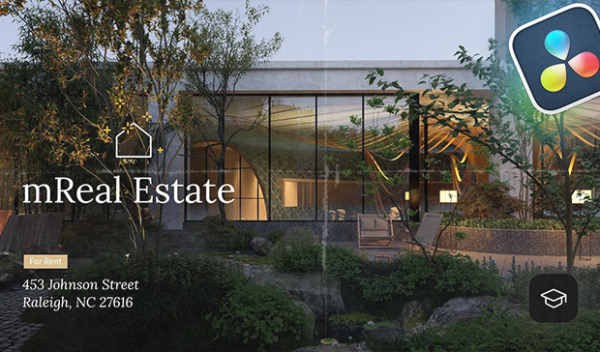 MotionVFX - mReal Estate DVR