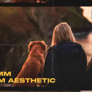 Videohive - 16mm Film Aesthetic Overlays MOGRT