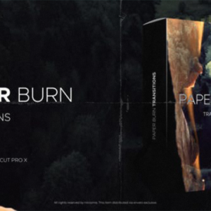 Videohive - Paper Burn Transitions