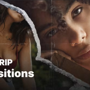 Paper Rip Transitions MOGRT