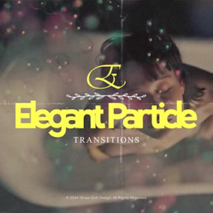 Elegant Particle Transitions