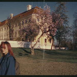 8MM Home Film PowerGrades + LUTs