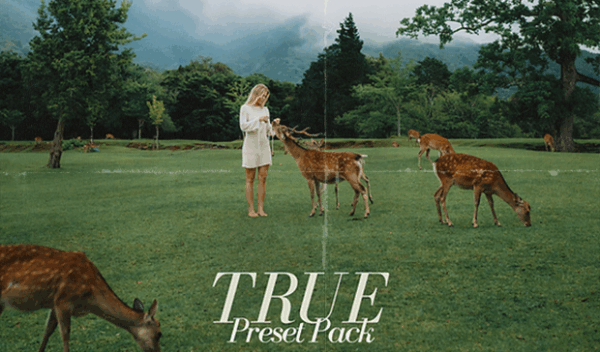 True Lightroom Preset Pack