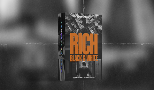 Rich Black and White LUTs & LR Presets