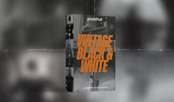Vintage Black and White LUTs & LR Presets
